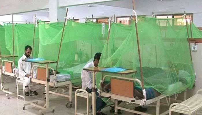 Seventeen more cases of dengue virus have come to light in Sindh.