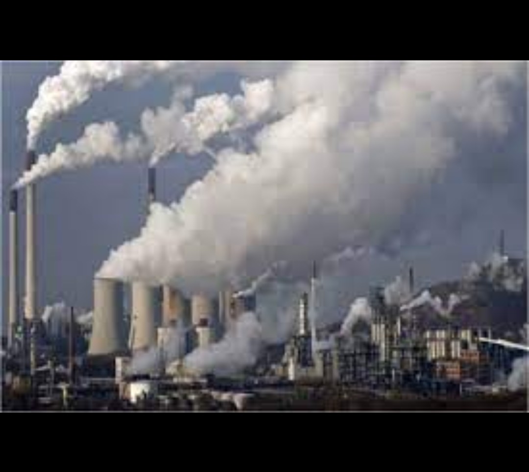 LHC Reacts to Pollution Crisis in Lahore