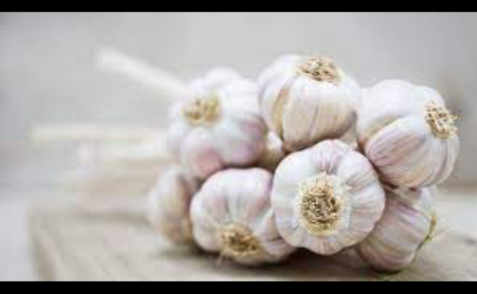 Senator Urges Investigation into National Security Threats Posed by Chinese Garlic Imports   