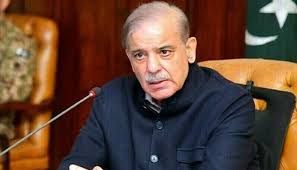 Pakistan's Economic Reforms: PM Shehbaz Sharif's Commitment to Stability