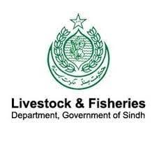 Sindh offers vast opportunities for large-scale livestock, dairy, and fisheries farming for business purposes, Syed Qasim Naveed Qamar