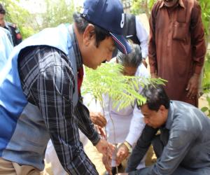 The Acting Chief Secretary highlighted the importance of collective efforts to ensure a greener and cleaner Sindh. He urged every individual to actively contribute to the cause and make tree plantation a priority.
