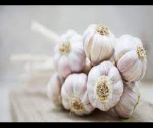 Senator Urges Investigation into National Security Threats Posed by Chinese Garlic Imports   