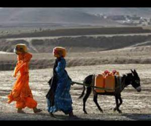 Humanitarian Concerns Rise as Afghanistan Excluded from COP28 Climate Summit