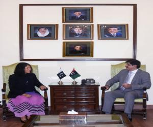 Murad discusses $1.3bn ADB portfolio, ADB to assist Sindh for TP4, uplift study of Hyd