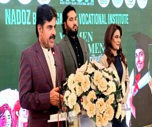 Politics of extremism will more increase problems, Energy Minister Syed Nasir Shah