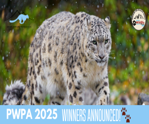 Seven Honoured with Pakistan Wildlife Protection Awards 2025
