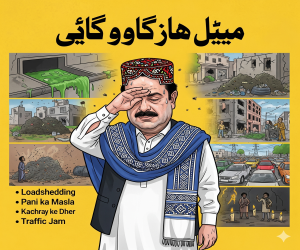 Hatred, Politics, or Negligence? A Layered Landscape of Criticism on the Sindh Government