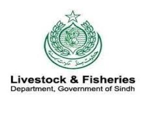 Sindh offers vast opportunities for large-scale livestock, dairy, and fisheries farming for business purposes, Syed Qasim Naveed Qamar