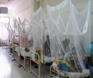 🚨 Sindh Dengue Cases Continue: 1,130 New Infections, 1 Death in 24 Hours