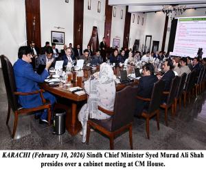 Sindh cabinet okays diaspora property e-registration, traffic courts, cess settlement, BRT land shift, Forests