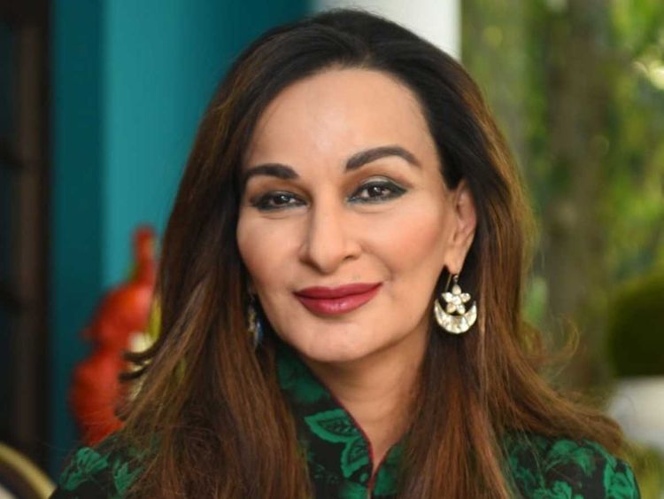  پاکستان کی داخلی سیکیورٹی پر توجہ دینے  کی ضرورت ہے سینیٹر  شیری رحمان 