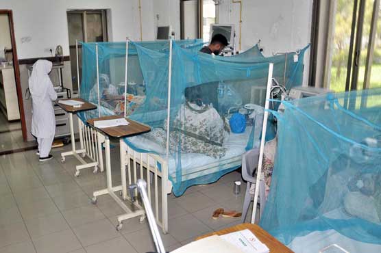  ڈینگی کے اکیس  نئے کیسز