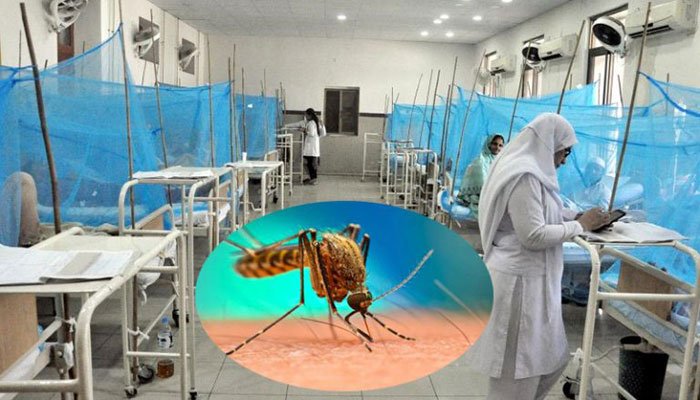 کراچی میں چوبیس گھنٹے کے دوران ڈینگی  کے بیالیس  نئے کیسز سامنے آگئے۔