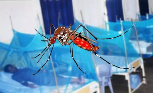 کورونا کے بعد ڈینگی وائرس نے بھی مسیحا کی جان لے لی۔