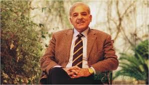 تمام بڑی جماعتوں کا اکٹھا ہونا پاکستان کی تاریخ کا بڑا اتحاد ہے، وزیر اعظم شہباز شریف 