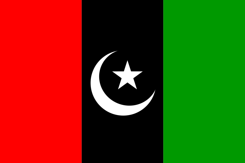 پیپلزپارٹی کے سینٹرل ایگزیکٹیو کمیٹی کے ہائبرڈاجلاس میں  موجود ہ سیاسی صورتحال پر تبادلہ خیال ہوا۔