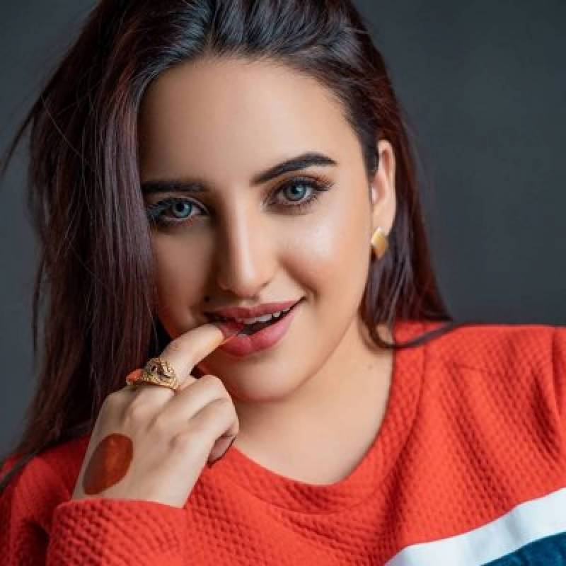  ٹک ٹاکر حریم شاہ کی  وطن واپسی پر ایف آئی اے کو گرفتاری سے روکنے کی درخواست