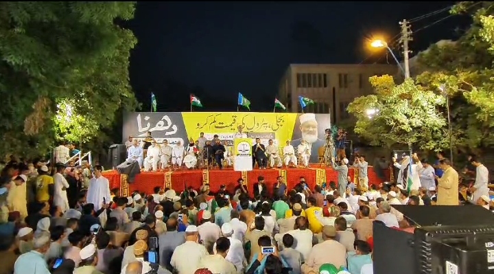 مافیاز میں سیاستدان  اور جاگیردار سب شامل ہیں۔ عوام پر مہنگائی کا بم گرایا