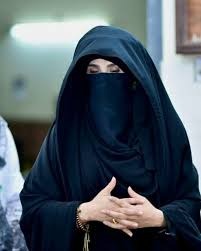 بشری ٰبی بی کی  سابق چیئرمین پی ٹی آئی  سے ملاقات اور  اڈیالہ جیل منتقلی کی درخواست پر سماعت