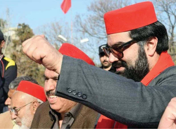  پاکستان میں کوئی بھی ادارہ اپنے دائرہ کار کے اندر کام کرے 