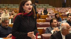 سینیٹ اجلاس ، پیپلزپارٹی نے پی آئی اے  نجکاری کی مخالفت کردی