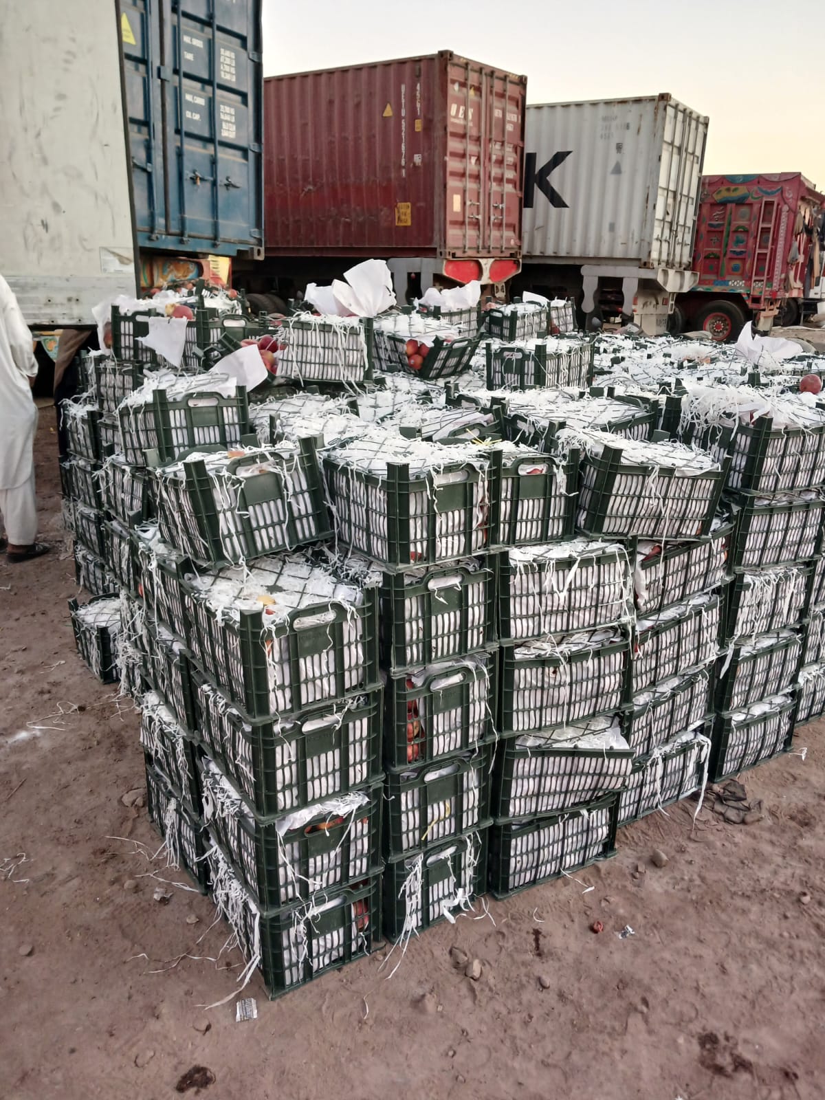  کراچی میں کسٹم حکام نےکارروائی کرتے ہوئے 5 کروڑ مالیت کا خشک دودھ اسمگل کرنے کی کوشش ناکام بنا دی