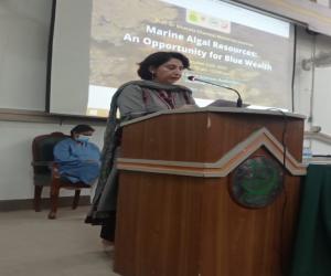 جامعہ کراچی میں ساتویں ڈاکٹر مصطفی شمیل میموریل سیمینار کا انعقاد