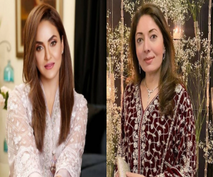 پاکستان پیپلز پارٹی کی رہنما شرمیلا فاروقی نے اداکارہ نادیہ خان کے انکی والدہ سے پوچھے گئے سوالات پر اپنا رد عمل دے دیا۔