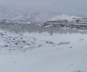 زیارت۔وادی زیارت وملحقہ علاقوں میں برفباری کا سلسلہ جاری ہے