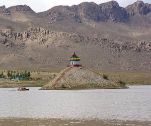 کوئٹہ میں   کانگو وائرس کا ایک اور مریض  دم توڑ گیا