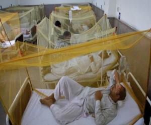  کراچی سمیت سندھ میں رواں سال نگلیریا سے اموات کی تعداد 8 ہوچکی ہے