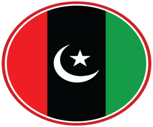 پیپلز پارٹی  نے جنوبی پنجاب سے امیدواروں کا اعلان کر دیا 