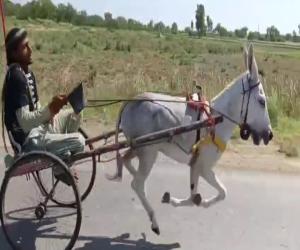 سندھ حکومت کی جانب سے میرپورخاص میں گدھا گاڑی ریس کا شاندار انعقاد، سلیم بلوچ کا 