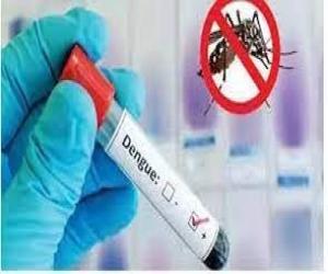 خیبرپختونخوا میں ڈینگی وائرس کے کیسز 1,349 تک پہنچ گئے، محکمہ صحت