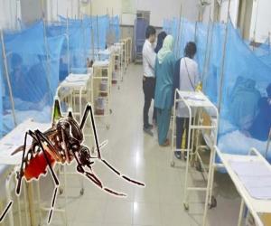 کراچی میں رواں سال ڈینگی  سے چار سو چھپن افراد متاثر ہوئے