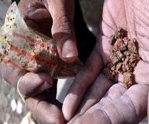  منشیات  کی خریدوفروخت میں  ملوث  ایک سو بیالیس ملزموں کو گرفتار کیا گیا