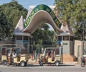 کراچی چڑیا گھر  کے بہت سے جانور غائب ۔ جانوروں  کےلئے   پینے کا صاف پانی نہیں