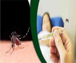 خیبرپختونخوا میں ڈینگی کے کیسز میں مسلسل اضافہ۔